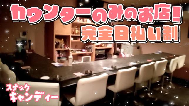カウンターレディ募集中！カウンターのみのアットホームなスナックです♪